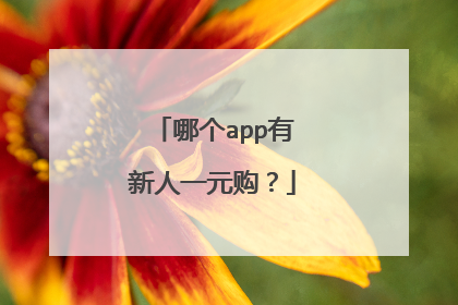 哪个app有新人一元购?