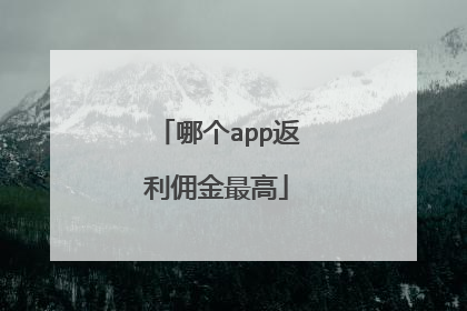 哪个app返利佣金最高