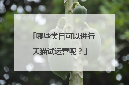 哪些类目可以进行天猫试运营呢？