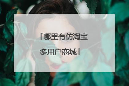 哪里有仿淘宝多用户商城
