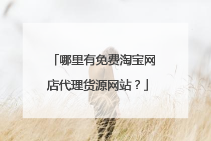 哪里有免费淘宝网店代理货源网站?