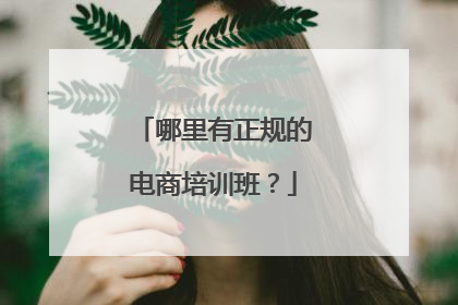 哪里有正规的电商培训班?