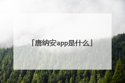 唐纳安app是什么