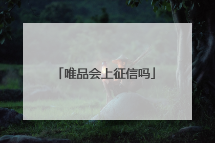 唯品会上征信吗