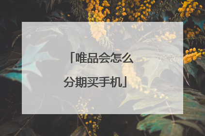 唯品会怎么分期买手机