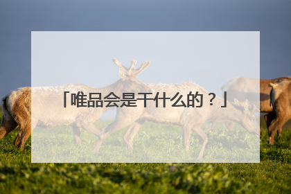 唯品会是干什么的?