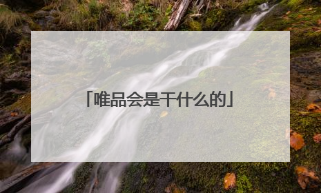 唯品会是干什么的