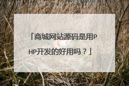 商城网站源码是用PHP开发的好用吗？