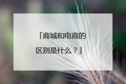 商城和电商的区别是什么？
