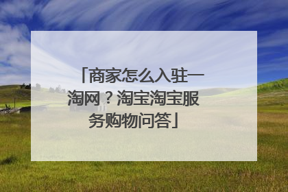 商家怎么入驻一淘网?淘宝淘宝服务购物问答