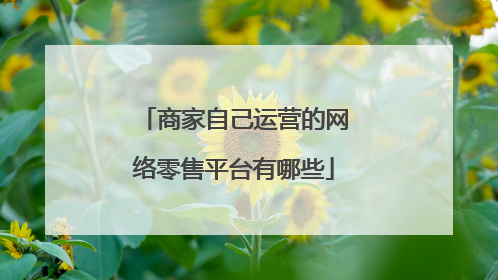 商家自己运营的网络零售平台有哪些