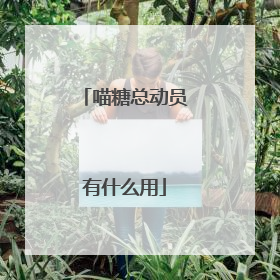 喵糖总动员有什么用