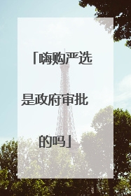 嗨购严选是政府审批的吗