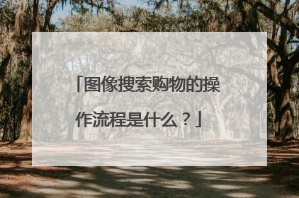 图像搜索购物的操作流程是什么?