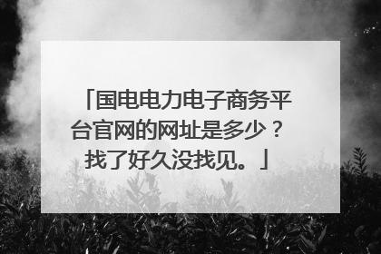 国电电力电子商务平台官网的网址是多少?找了好久没找见。
