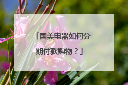 国美电器如何分期付款购物?