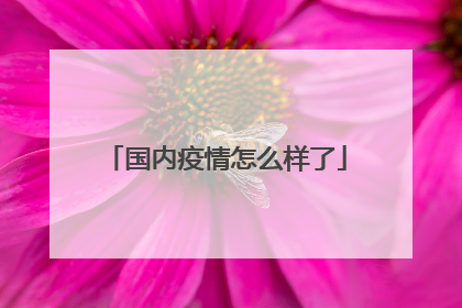 国内疫情怎么样了