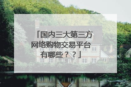 国内三大第三方网络购物交易平台有哪些??