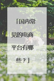 国内常见的电商平台有哪些？