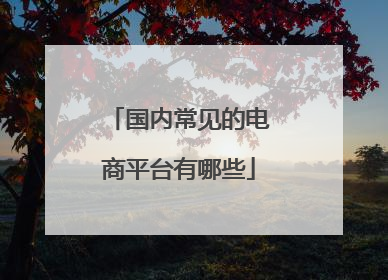 国内常见的电商平台有哪些