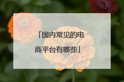 国内常见的电商平台有哪些