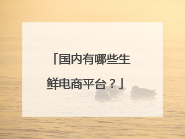 国内有哪些生鲜电商平台？