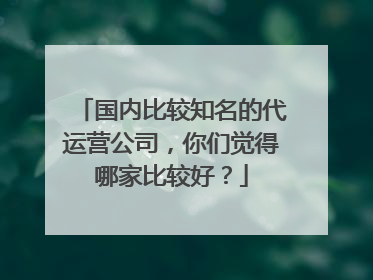 国内比较知名的代运营公司,你们觉得哪家比较好?
