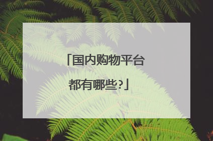 国内购物平台都有哪些?