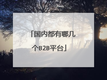 国内都有哪几个B2B平台