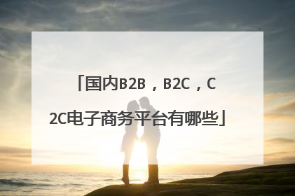 国内B2B,B2C,C2C电子商务平台有哪些