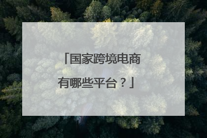 国家跨境电商有哪些平台?