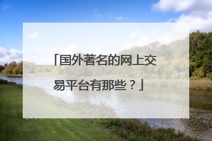 国外著名的网上交易平台有那些?