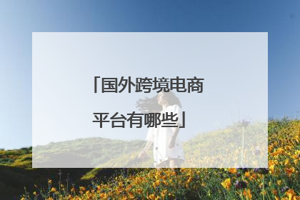 国外跨境电商平台有哪些