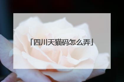 四川天猫码怎么弄