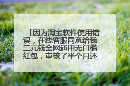 因为淘宝软件使用错误，在线客服同意给我三元钱全网通用无门槛红包，审核了半个月还没有到账怎么办？