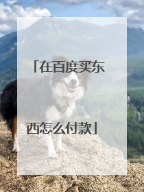 在百度买东西怎么付款