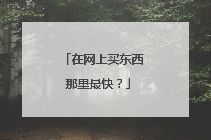 在网上买东西那里最快？