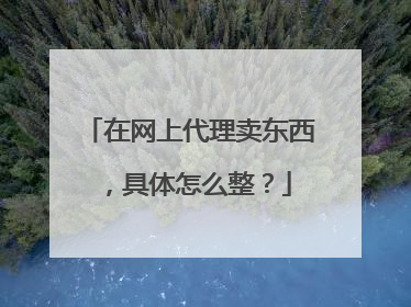 在网上代理卖东西,具体怎么整?
