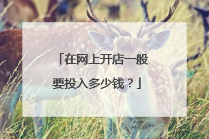 在网上开店一般要投入多少钱?