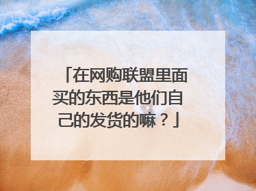 在网购联盟里面买的东西是他们自己的发货的嘛?
