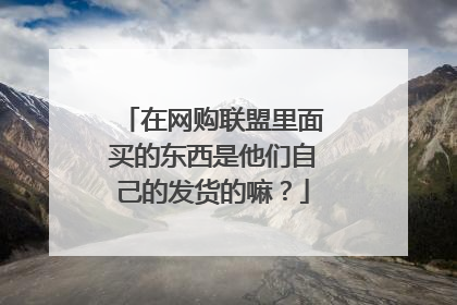 在网购联盟里面买的东西是他们自己的发货的嘛?