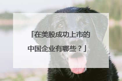 在美股成功上市的中国企业有哪些?