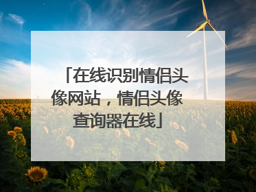 在线识别情侣头像网站，情侣头像查询器在线