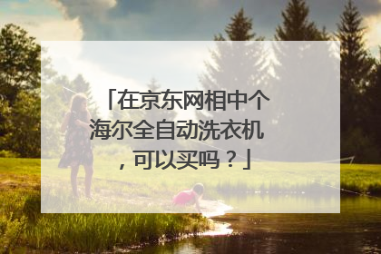 在京东网相中个海尔全自动洗衣机,可以买吗?