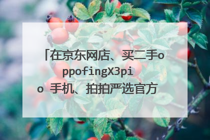 在京东网店、买二手oppofingX3pio 手机、拍拍严选官方旗舰店、可靠性大吗?