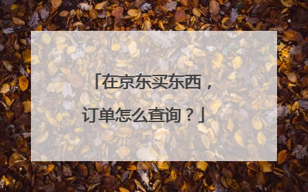 在京东买东西,订单怎么查询?
