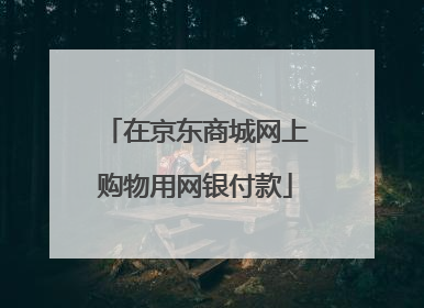 在京东商城网上购物用网银付款