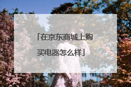 在京东商城上购买电器怎么样