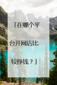 在哪个平台开网店比较挣钱?