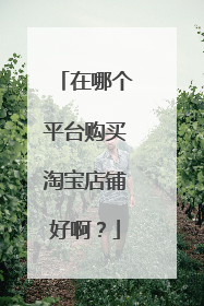 在哪个平台购买淘宝店铺好啊?